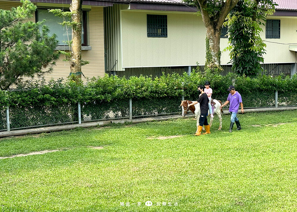 嘉義親子景點-獨角仙農場