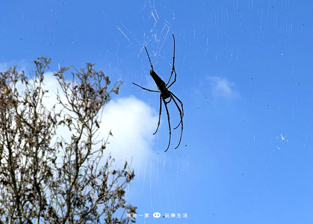 嘉義親子景點-獨角仙農場