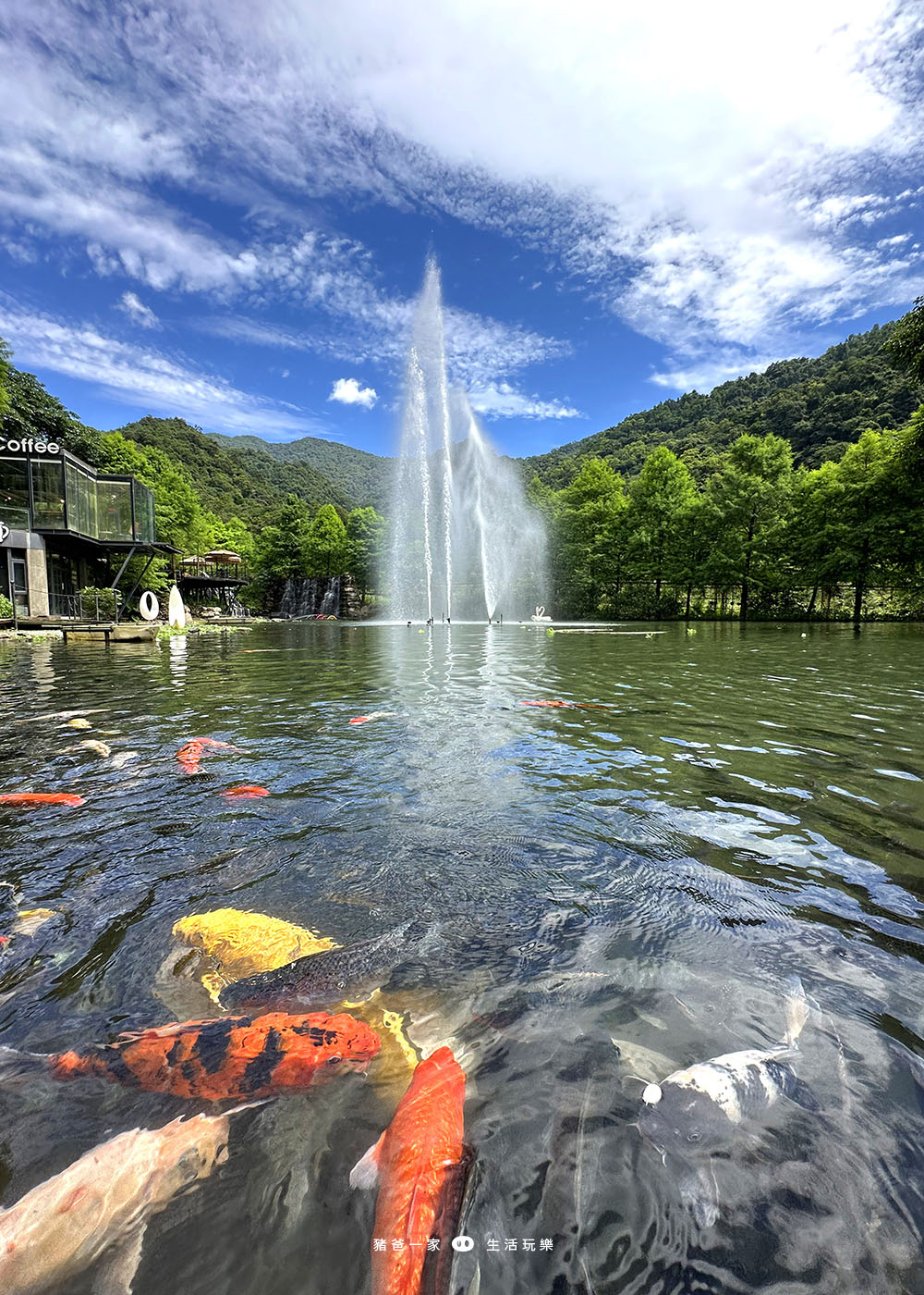 宜蘭景點，鳳梨屋水上莊園-超美水簾鞦韆