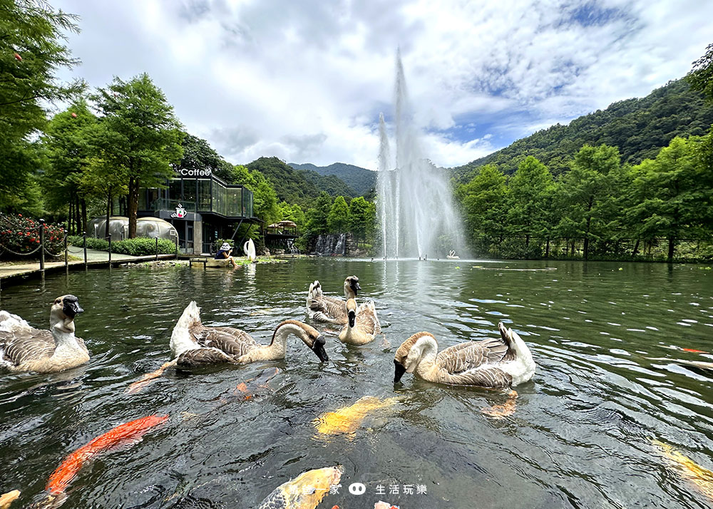 宜蘭景點，鳳梨屋水上莊園-超美水簾鞦韆