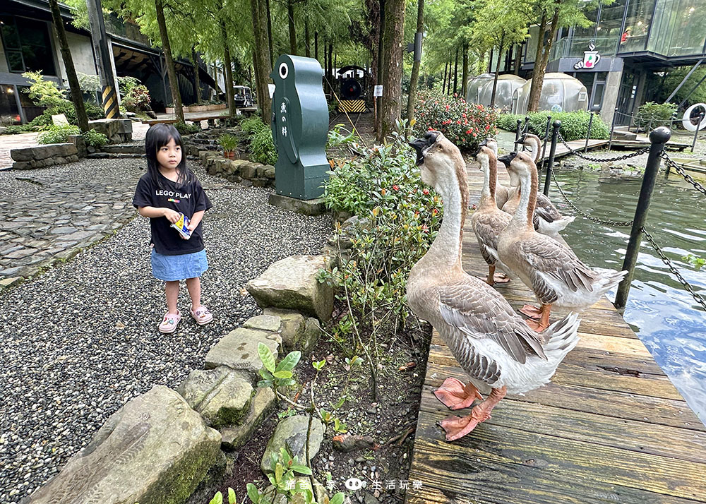 宜蘭景點，鳳梨屋水上莊園-超美水簾鞦韆