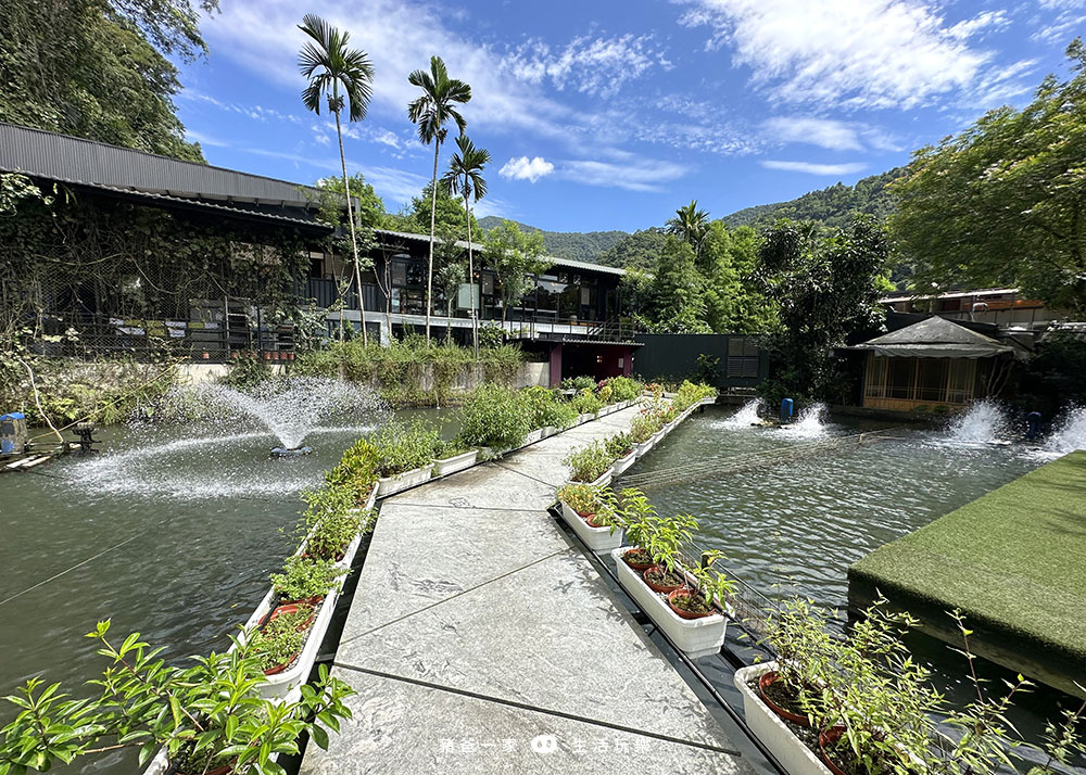 鱘龍魚養殖-鳳梨屋水上莊園