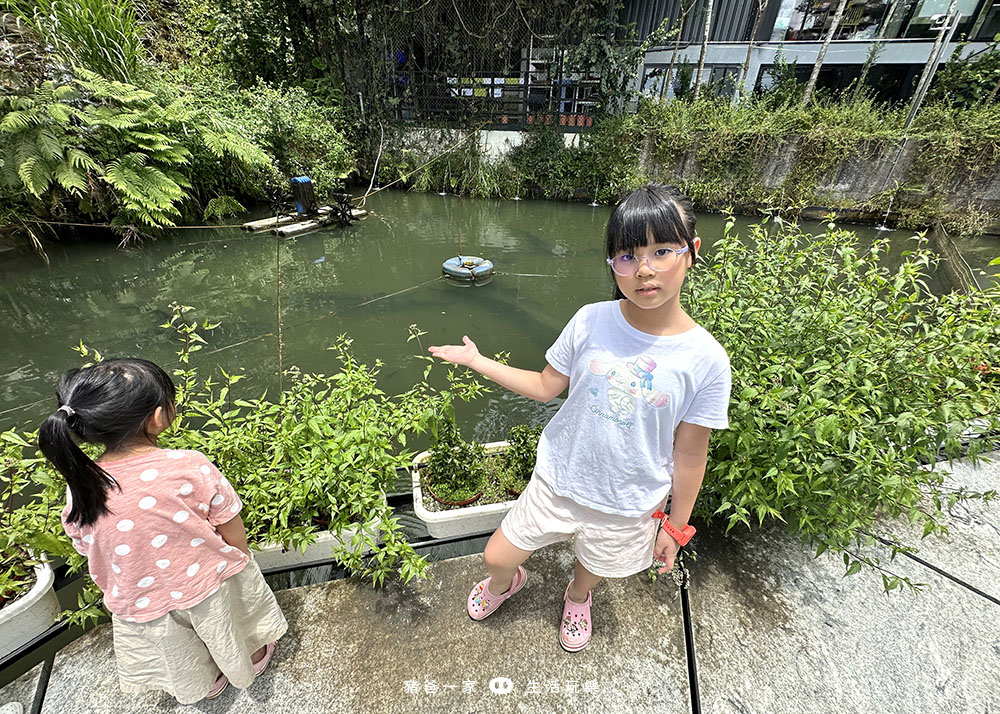 鱘龍魚養殖-鳳梨屋水上莊園