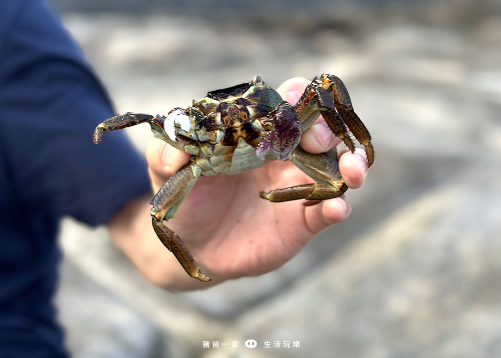 北海岸玩水抓螃蟹地點-龜吼日出亭