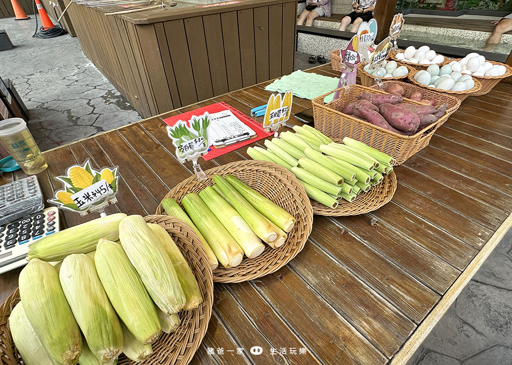 宜蘭溫泉飯店-葛瑪蘭之星