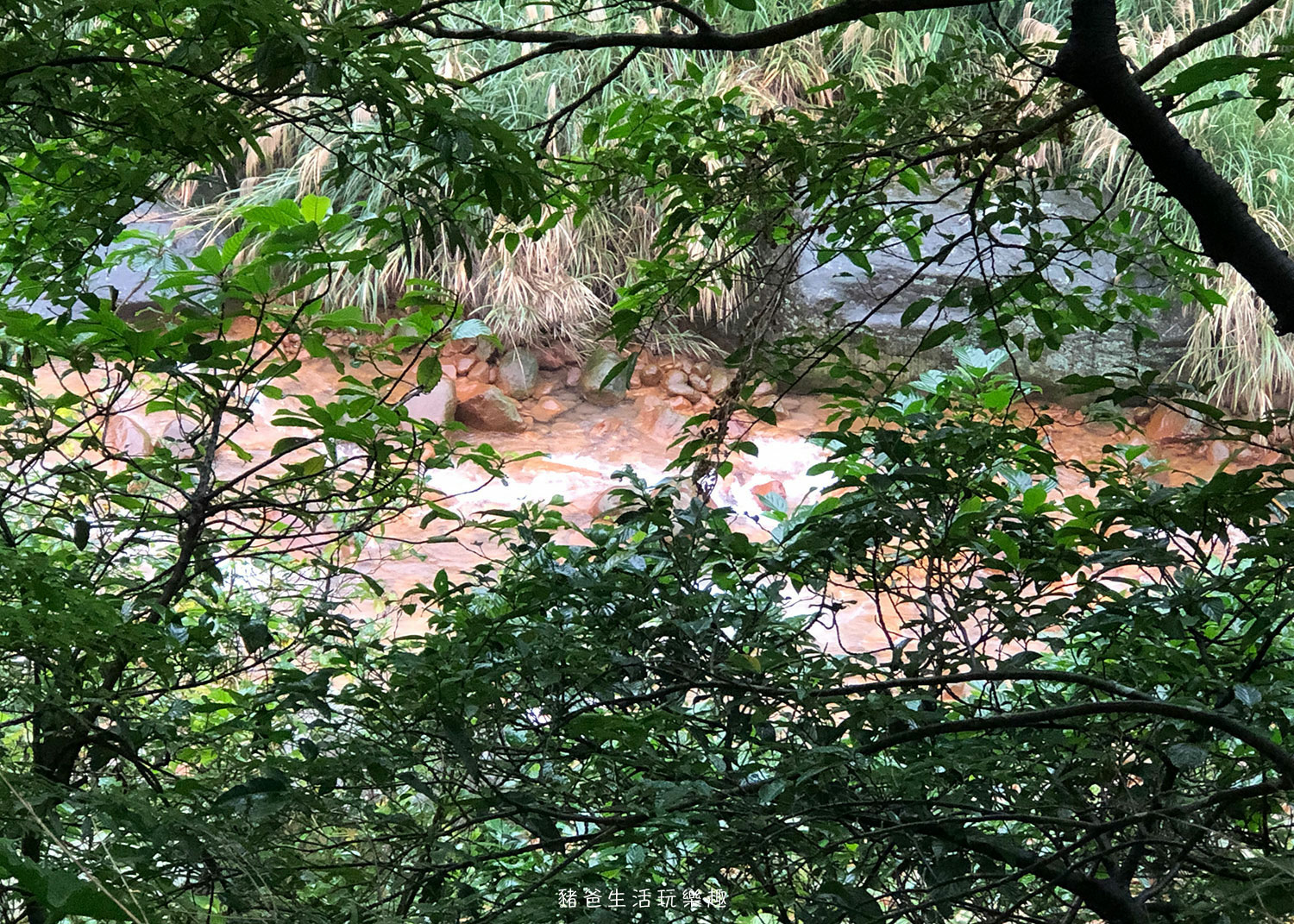 “金山八煙溫泉會館”/