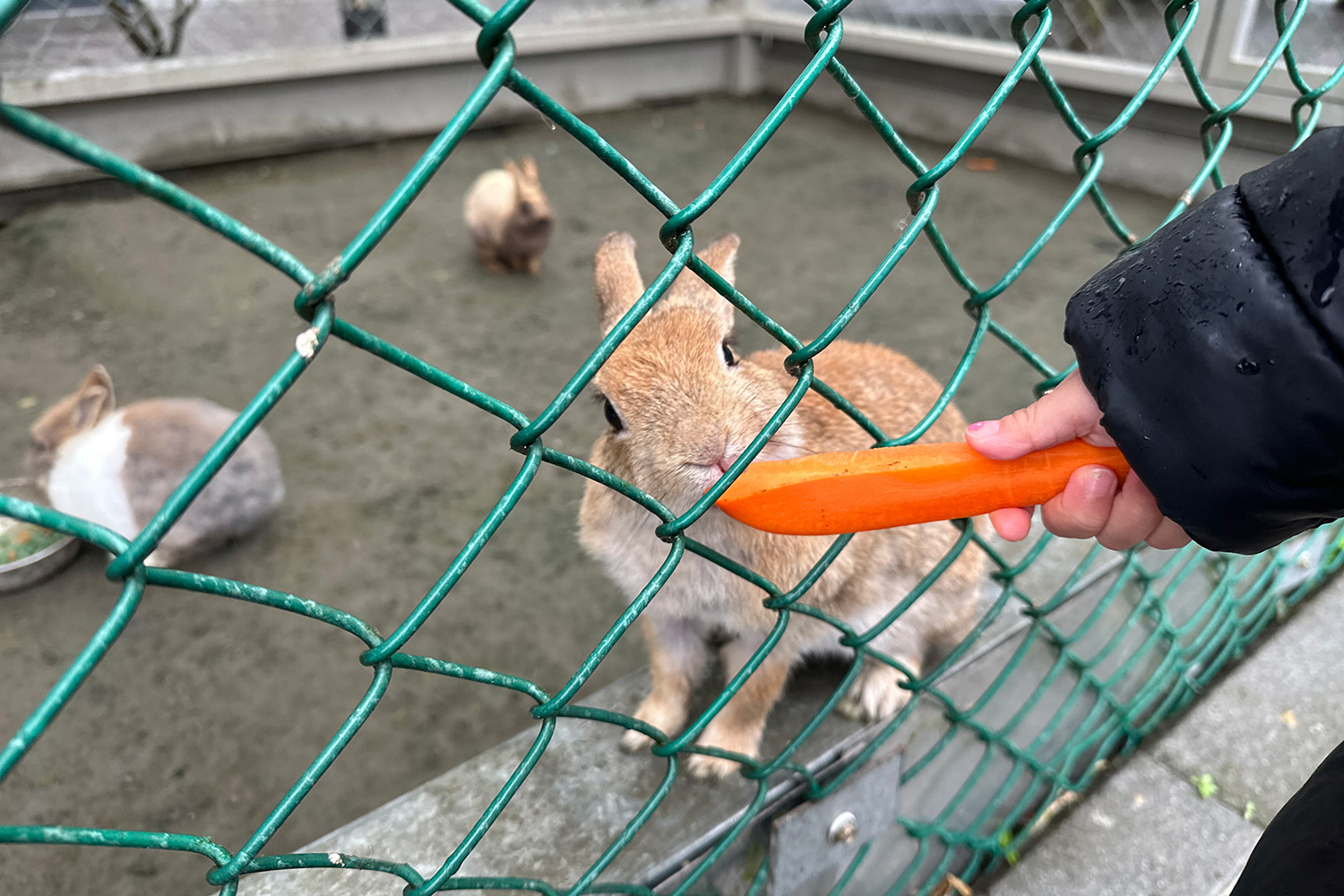 “宜蘭親子民宿推薦”/