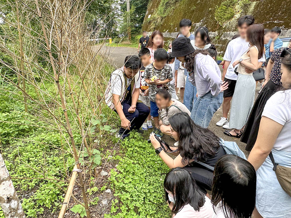 新竹免裝備露營