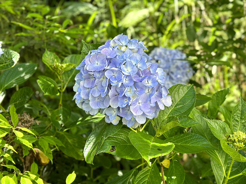 新竹霧繞露營